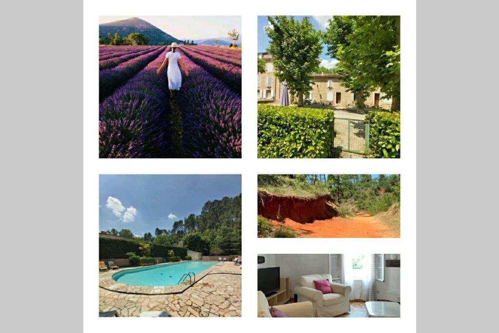 superbe appartement en résidence avec piscine dans le Luberon au pied du colorado provencal Rustrel Esterno foto